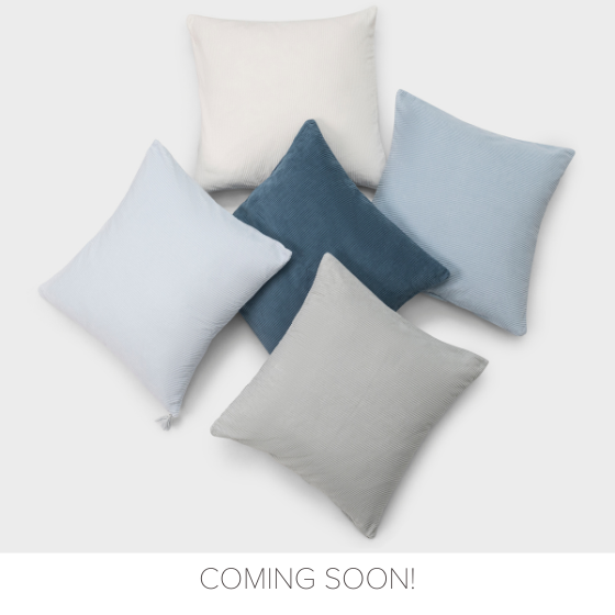 Remo Decorative Pillows image