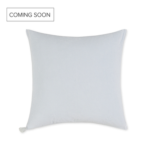 Image Powder Blue Remo Decorative Pillow