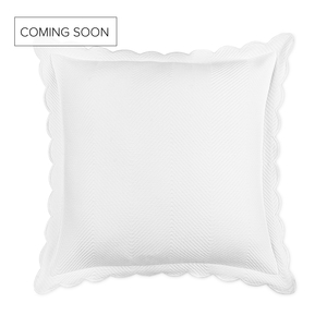 Image Scallop Lattice Shams
